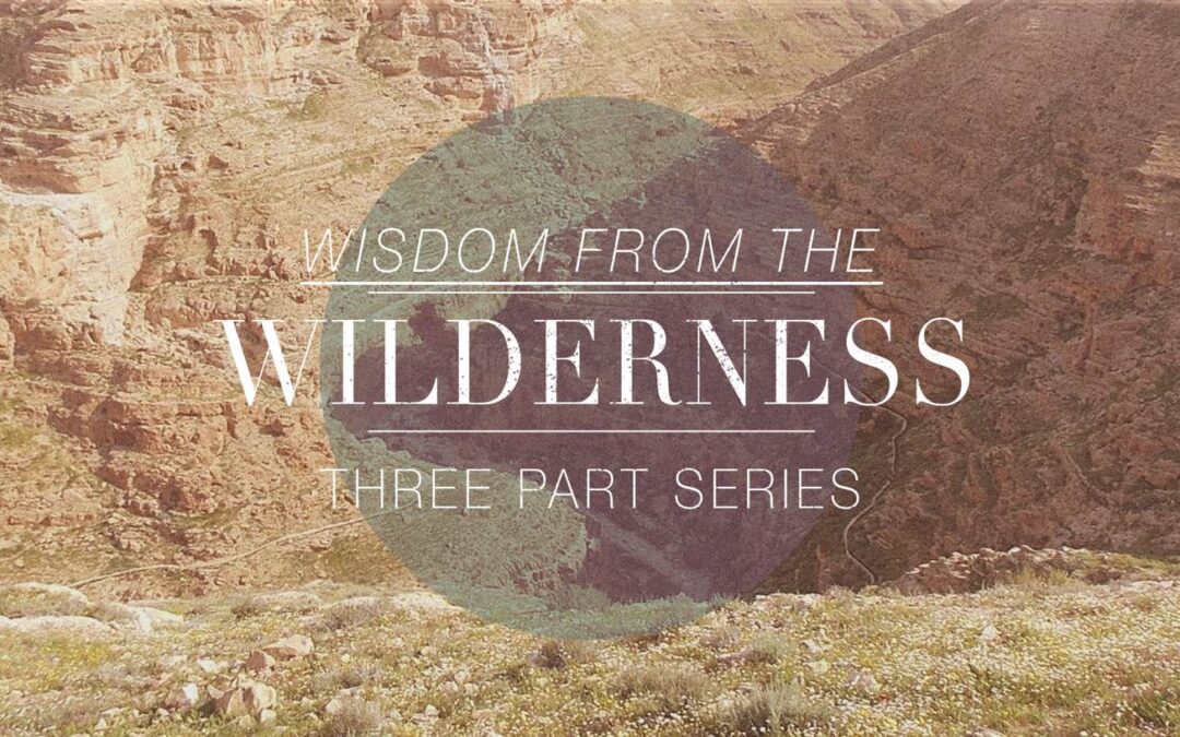 Wisdom from the Wilderness